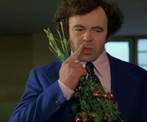 „Miś” Barei to film bardziej niż kultowy. Sprawdzamy, czy uważnie go oglądałaś!