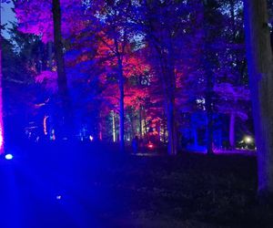 Olsztyn zamienił się w magiczną krainę. Park Świateł przyciągnął tłumy!