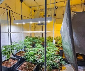 Akcja CBŚP w dwóch województwach. Zdjęcia z działań służb