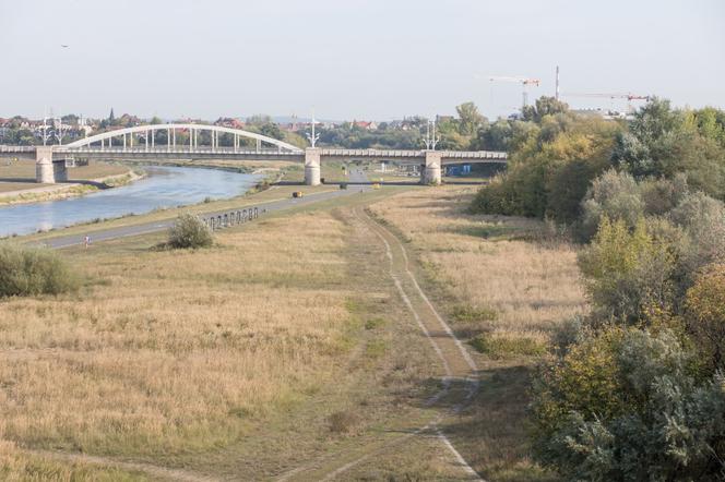 Rozebrał i udusił