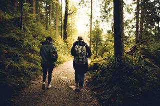 Koronawirus: Czy można iść na spacer do lasu lub jechać tam rowerem? [NOWE PRZEPISY]
