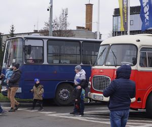 Katarzynki 2024 - wystawa autobusów przy Galerii Panorama