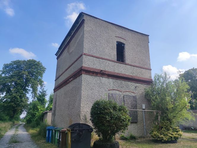 Ziębice