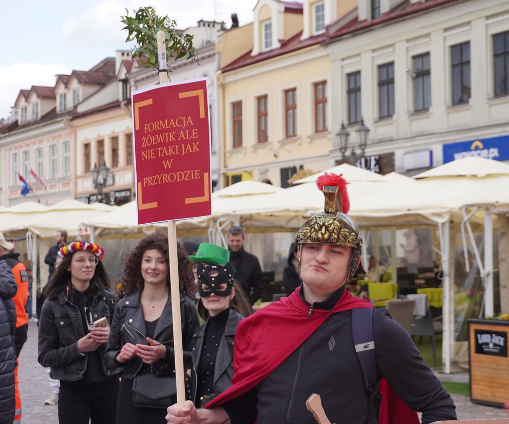Rozpoczęły się Rzeszowskie Juwenalia. Przez miasto przeszedł barwny korowód 