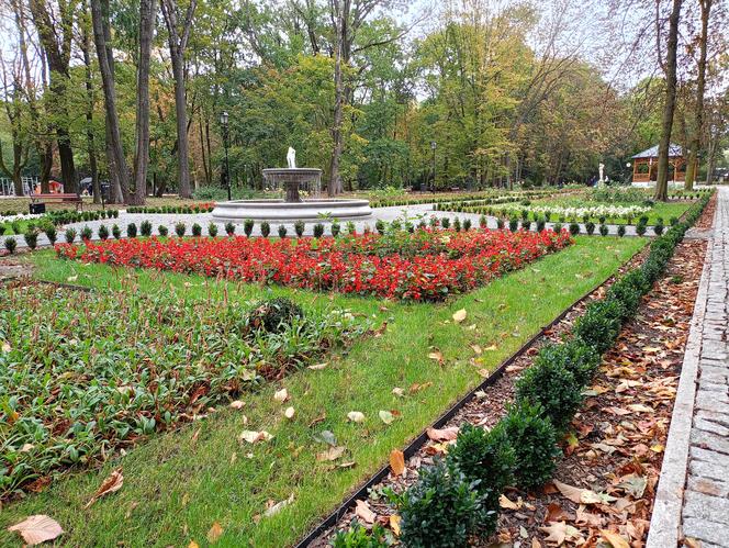 Jesienią w siedleckim parku miejskim Aleksandria nie brakuje amatorów spacerów i aktywności na świeżym powietrzu