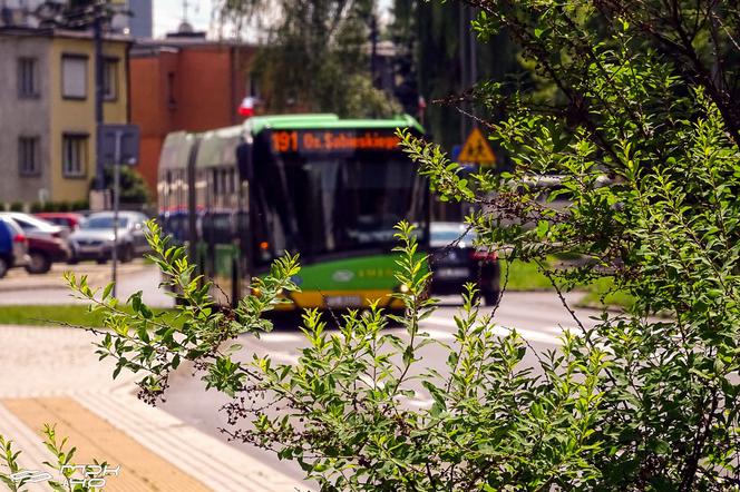 Świąteczny rozkład jazdy w weekend! Jak pojadą autobusy i tramwaje?