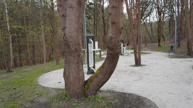 Nowa atrakcja w centrum Olsztyna. Jej koszt to ponad milion złotych