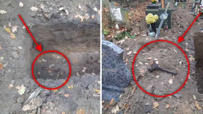 HORROR na Cmentarzu Centralnym. Między grobami walały się ludzkie SZCZĄTKI!