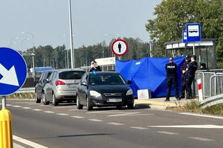 Zwłoki noworodka w reklamówce w koszu na śmieci. Wstrząsające odkrycie na przystanku pod Warszawą