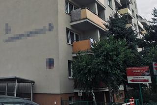 Postrzelili Zuzannę, bo chciała wejść do swojego mieszkania