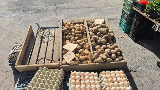 Drożyzna na targowiskach? Nie w Olsztynie. Tu kupisz truskawki w dobrej cenie!
