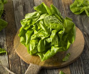 Sałata ze śmietaną - tradycyjny przepis