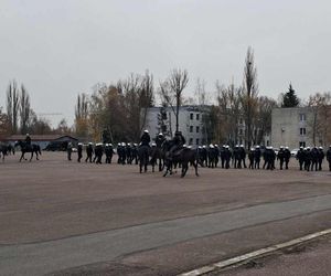 Atestacja koni służących w łódzkiej policji i straży miejskiej