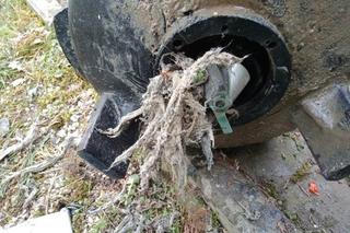 Polacy wrzucają to do toalety, nie wiedzą że mogą tego pożałować. Nawet 150 tysięcy zł