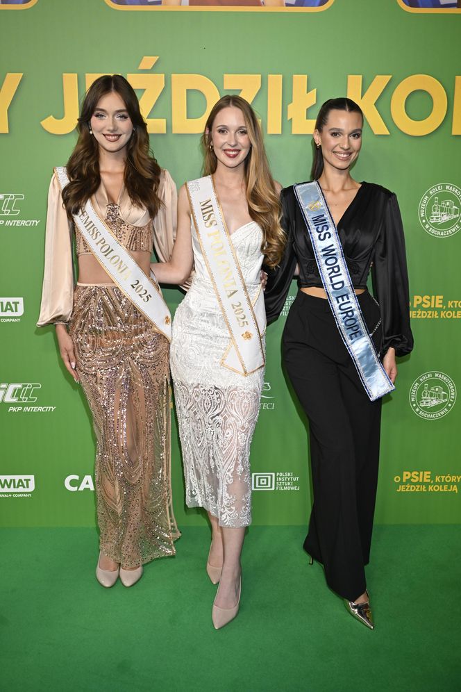 "O psie, który jeździł koleją 2" - premiera filmu