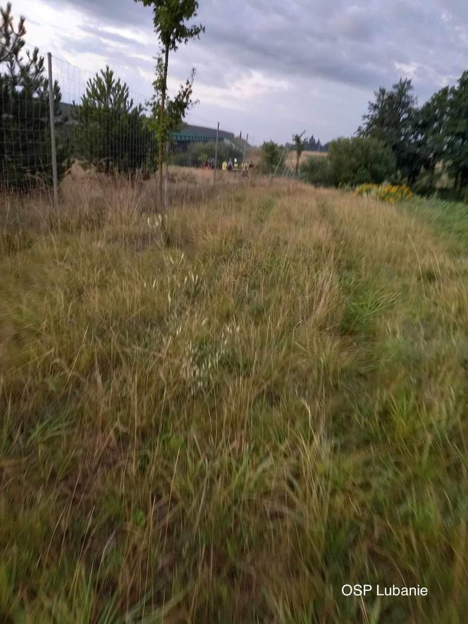 Tragedia na autostradzie A1! 20-latek w bmw wypadł z drogi i zginął