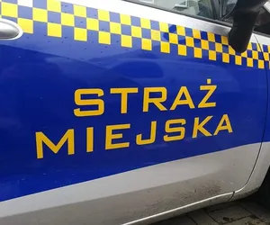 Czechowice-Dziedzice: Zgłosił fałszywy alarm, bo chciał zobaczyć, jak szybko przyjedzie straż miejska. 29-latek ukarany mandatem