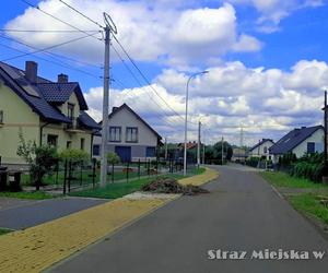 Tychy: nawałnica zniszczyła bocianie gniazdo