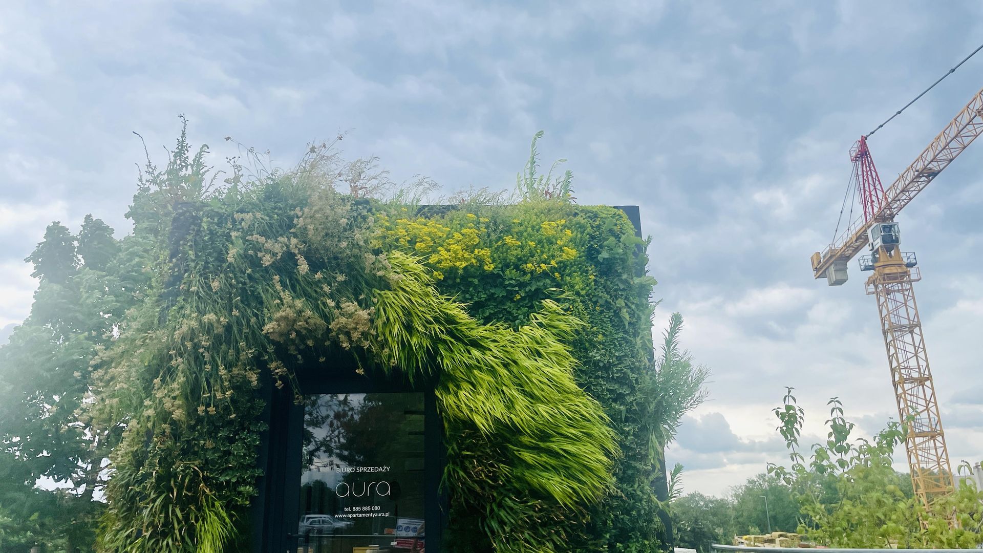 Aura w Poznaniu - aparthotel i zielona fasada