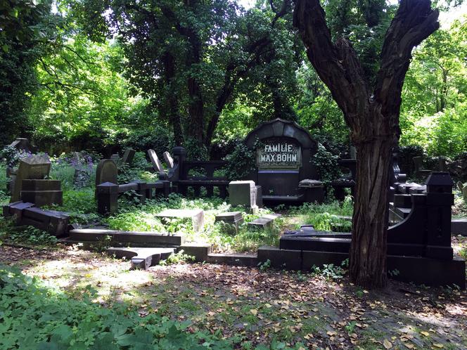 Zdewastowano nagrobki na cmentarzu żydowskim. Policja ujęła podejrzewanych mężczyzn 