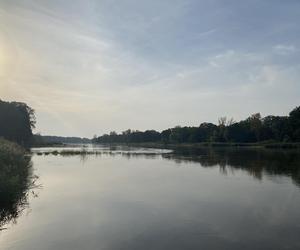 Rzeka Odra w okolicy Lasu Odrzańskiego