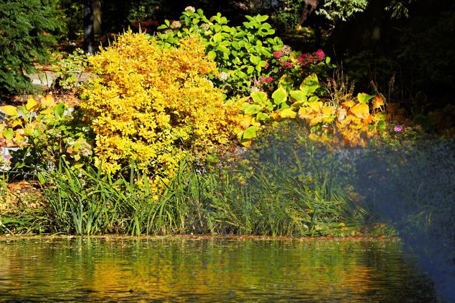 Ogród Botaniczny we Wrocławiu
