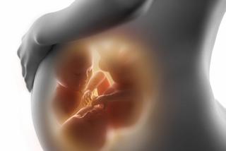 Ciąża jednokosmówkowa (jednoowodniowa i dwuowodniowa): diagnostyka i zagrożenia - wywiad z ginekologiem