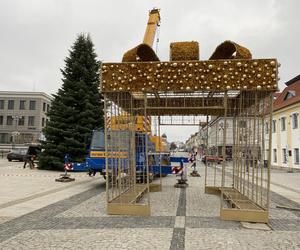 Piękna choinka pojawiła się już na Rynku Kościuszki w Białymstoku. Kiedy uroczyste zapalenie lampek? 