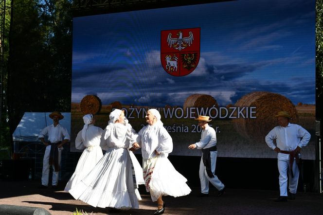 Tłumy na dożynkach w Olsztynku. Zobacz, jak wyglądało tegoroczne święto plonów