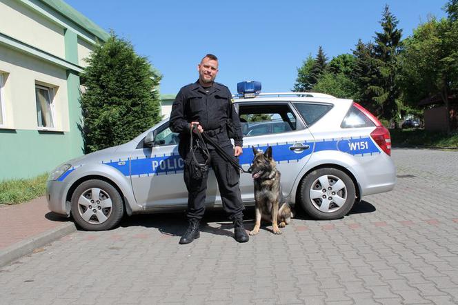 Policyjny pies Karzeł