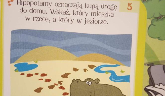 Humor ze szkolnych zeszytów. Nauczyciele pękali ze śmiechu, jak sprawdzali 