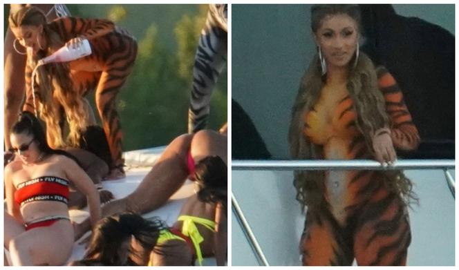 Cardi B jako tygrysica 