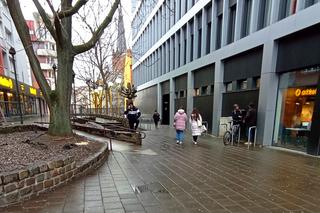 Nieco zapomniany akcent rzeźbiarski w centrum Szczecina