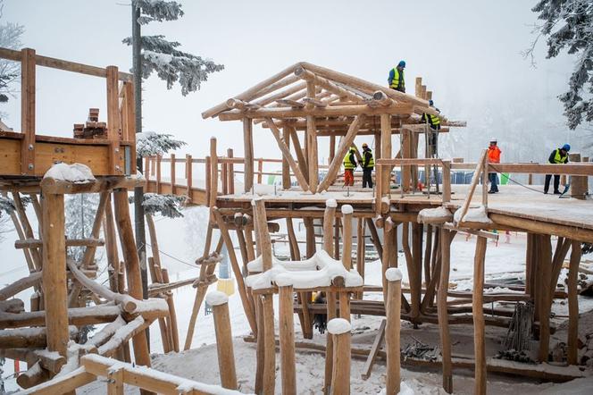W Małopolsce powstaje ścieżka w koronach drzew! To pierwszy taki projekt w kraju [ZDJĘCIA]