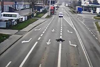 ŚPIOSZEK. Zasnął na ulicy w Gliwicach, bo myślał, że jest bezpiecznie [ZDJĘCIA]