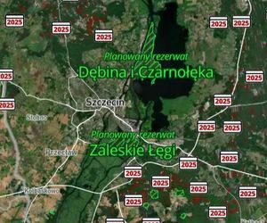 Mapa wycinki lasów 2025 - woj. zachodniopomorskie