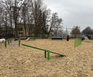 Psi park na ul. Dzwonowej w Łodzi