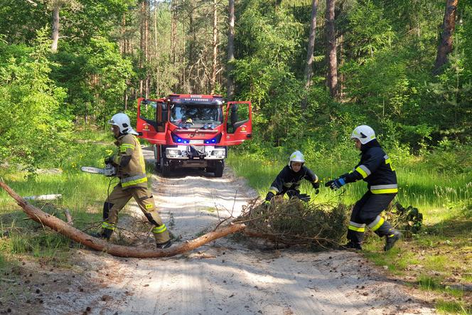   Leśny trud 2021 – strażacy ćwiczyli w lesie 