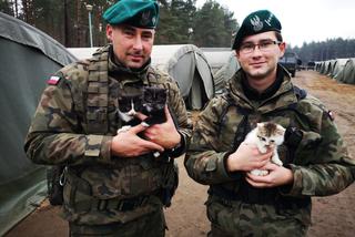 WIELKIE serca bydgoskich żołnierzy! Uratowali życie trzech małych kotków! [ZDJĘCIA] 