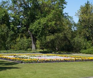 Ogród Botaniczny w Poznaniu 