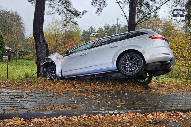 Pijany Ukrainiec wyleciał autem z drogi i uderzył w drzewo. Służby wezwał system eCall