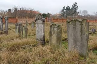 Tak wygląda zapomniany żydowski cmentarz w Koronowie. Przejechałem rowerem 30 km, by tu dotrzeć. Jest klimat!