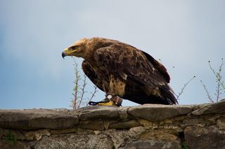 To jedno z najstarszych i najpiękniejszych miast na Spiszu. Leży blisko Małopolski 