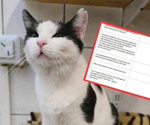Bytomskie schronisko pyta w ankiecie adopcyjnej o choroby psychiczne. Od tego uzależnia adopcje zwierząt