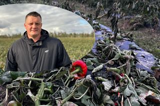 Rolnik z Gałkowic, Maciej Siekiera rozdał 60 ton papryki!