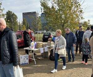 Niedzielny Targ - nowy pchli targ w Poznaniu