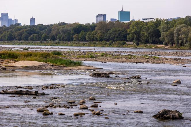 Wisła wysycha - rekordowo nisko poziom wody. Zobacz zdjęcia