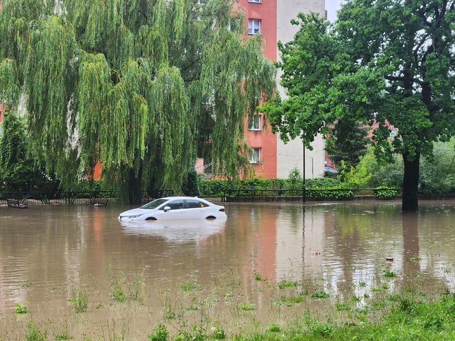 W Elblągu wylała rzeka. Wprowadzono stan pogotowia przeciwpowodziowego. „Każdy z nas się boi”