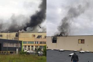 Ogromny pożar hali w Toruniu! 13 zastępów straży w akcji na terenie Elany [Zdjęcia]