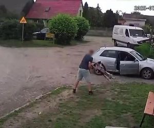 Złapał psa i rzucił nim o ziemię. Wstrząsające nagranie obiegło sieć